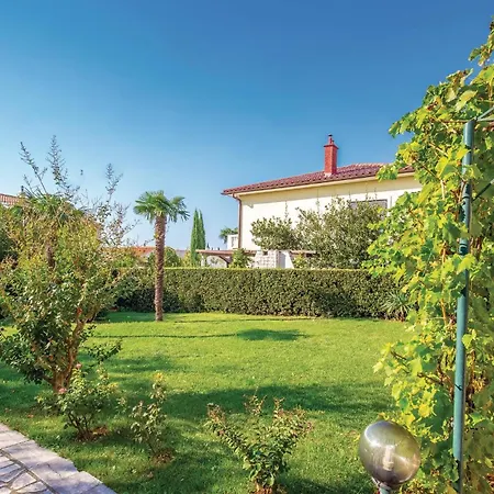 Apartment 1 Bedroom In